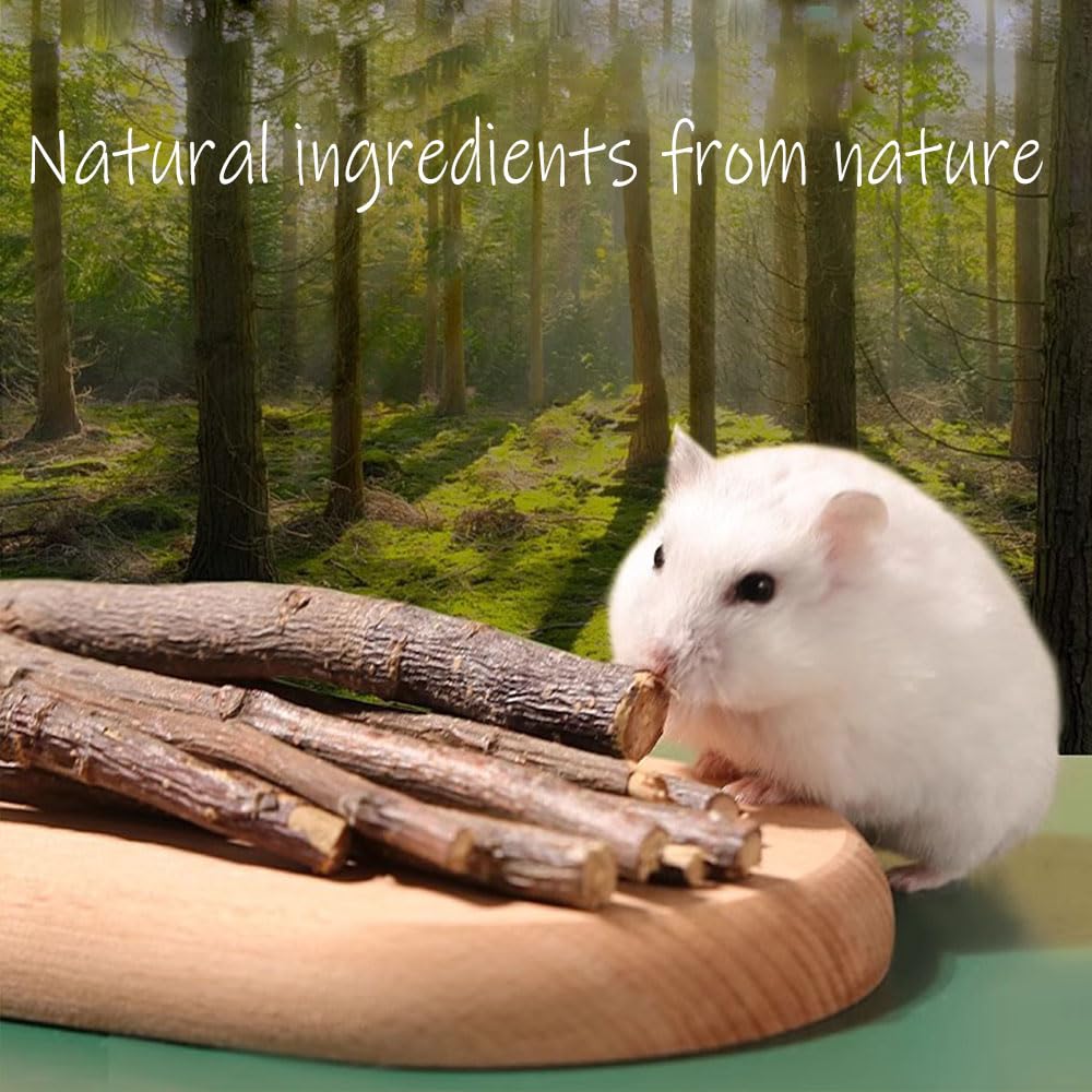 Dbeans Flourithing interactive chewing treats support bonding and positive reinforcement