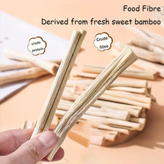 Dbeans Flourithing tissimo grass sticks foraging and nibbling delight