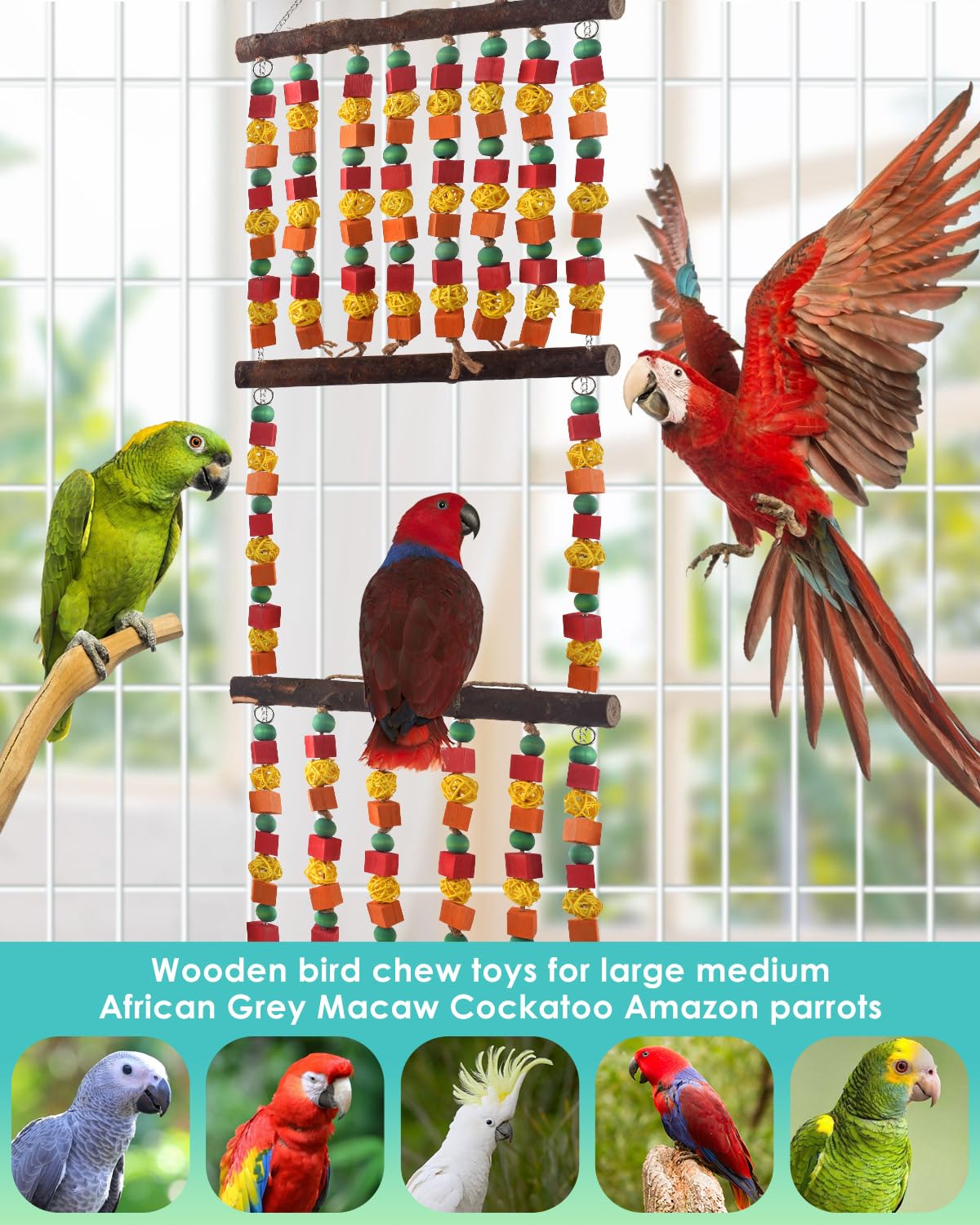 DBNESS African Grey enjoys colorful rattan balls for mental stimulation.