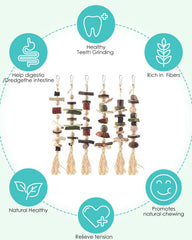 DBNESS apple-wood bunny-treats showcases natural chewing that supports fiber-rich engagement.