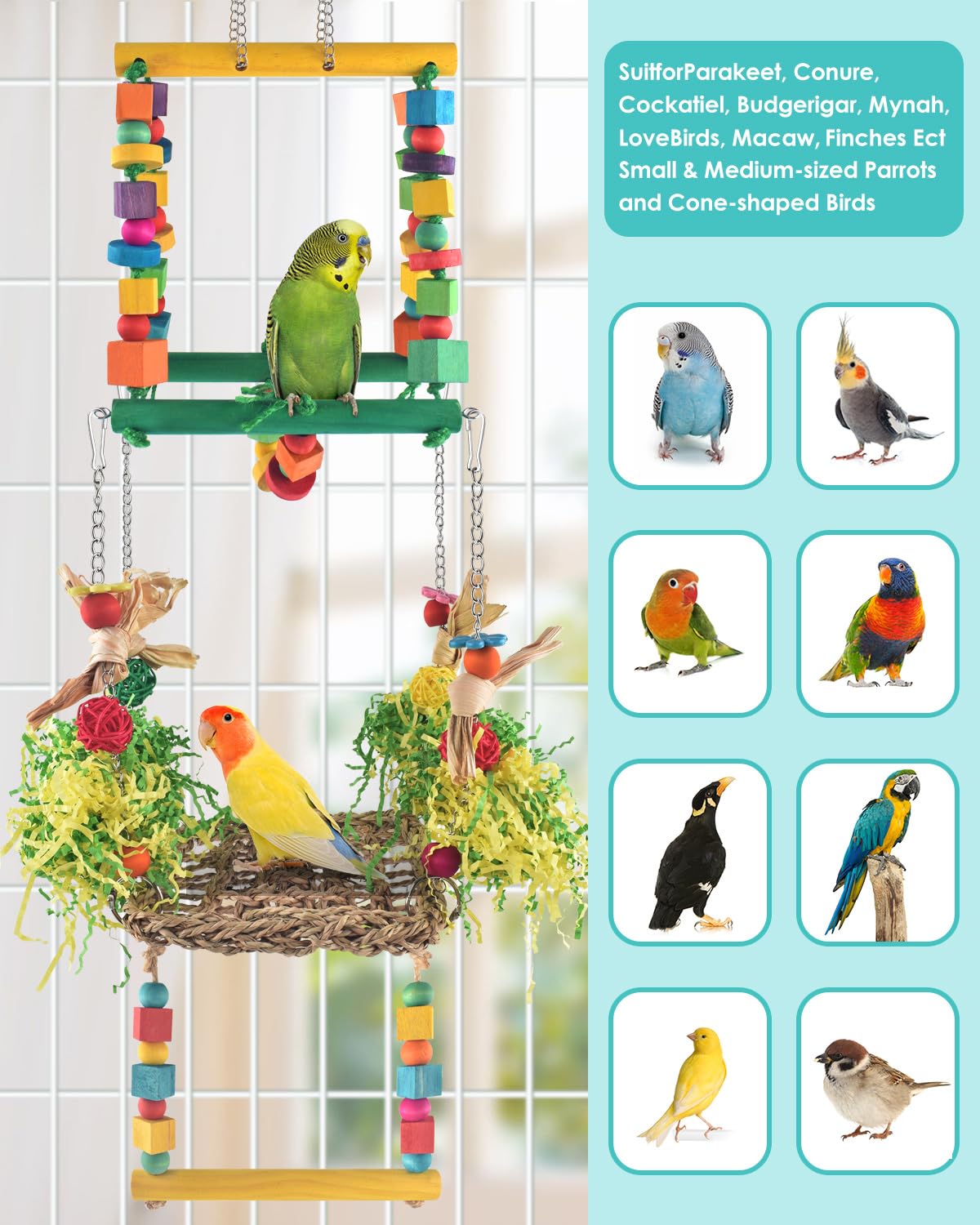 DBNESS wooden swing with chew blocks supports motivated nibbling and exercise.