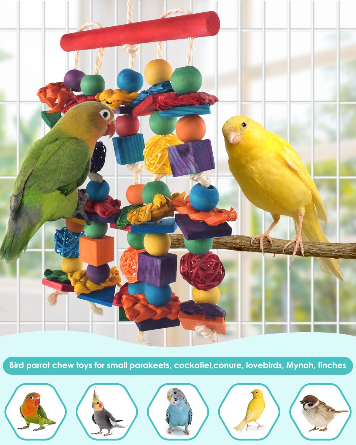 DBNESS bird toy parakeet chewing action captures daily play and exploration