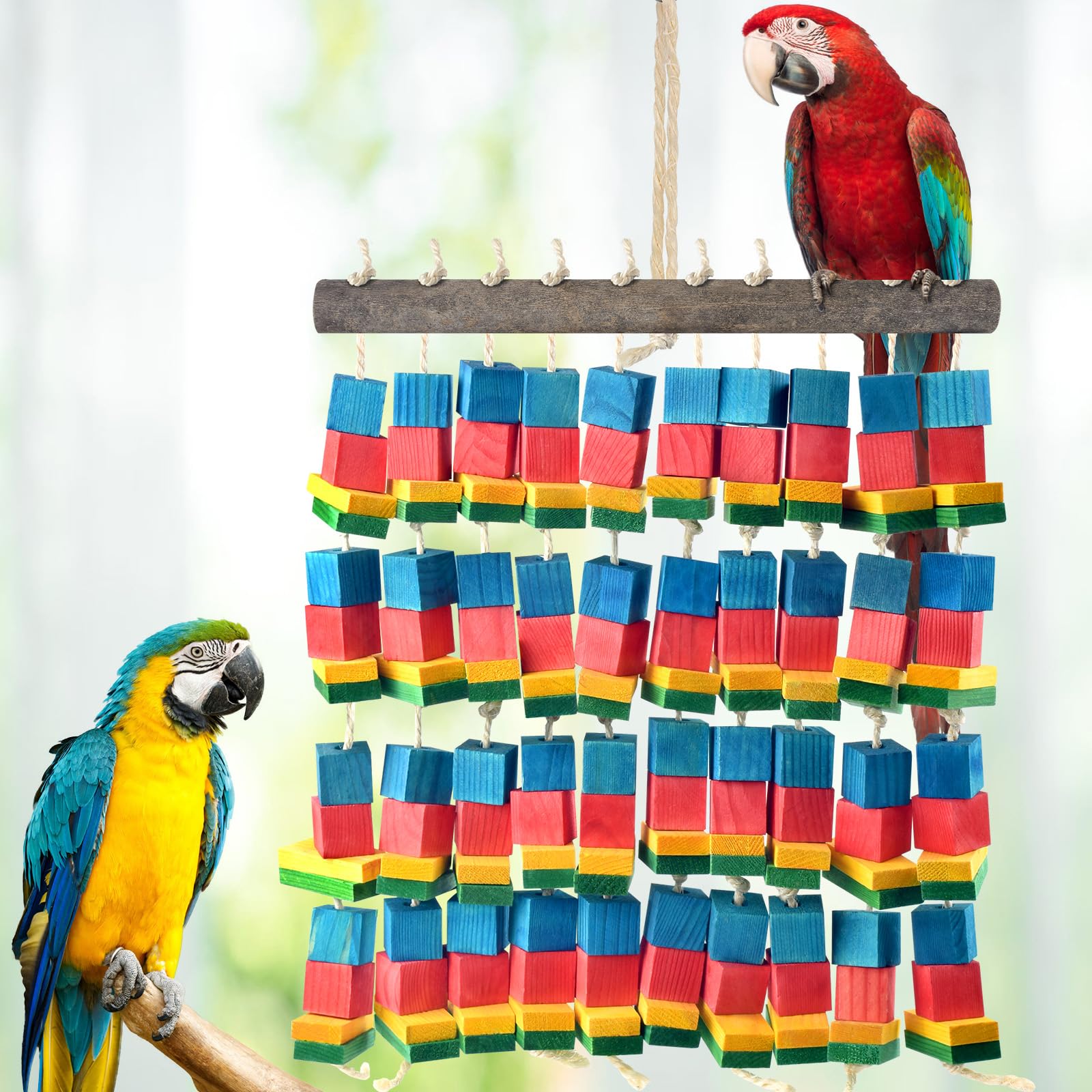 DBNESS bright wood blocks engage macaws with color-rich visuals inviting exploration.
