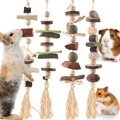 DBNESS bunny chew toy set packaging highlights natural materials for safe play and dental-friendly chewing