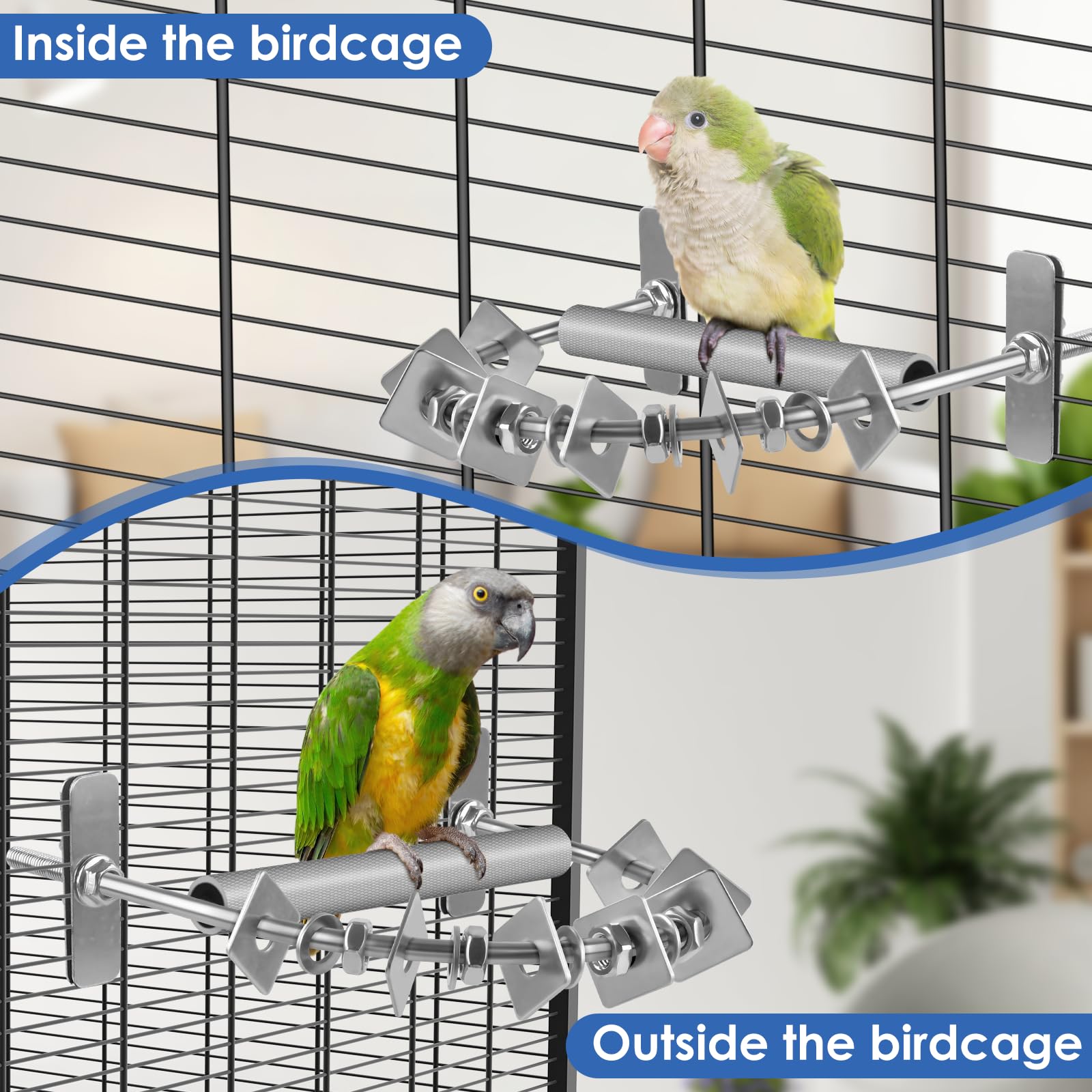 DBNESS cage-mounted perch view highlights elevated standing and beak maintenance opportunities.