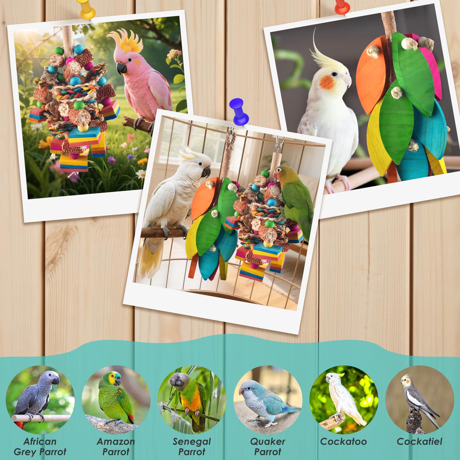 DBNESS easy-install parrot toy with metal hooks for quick setup in any cage.