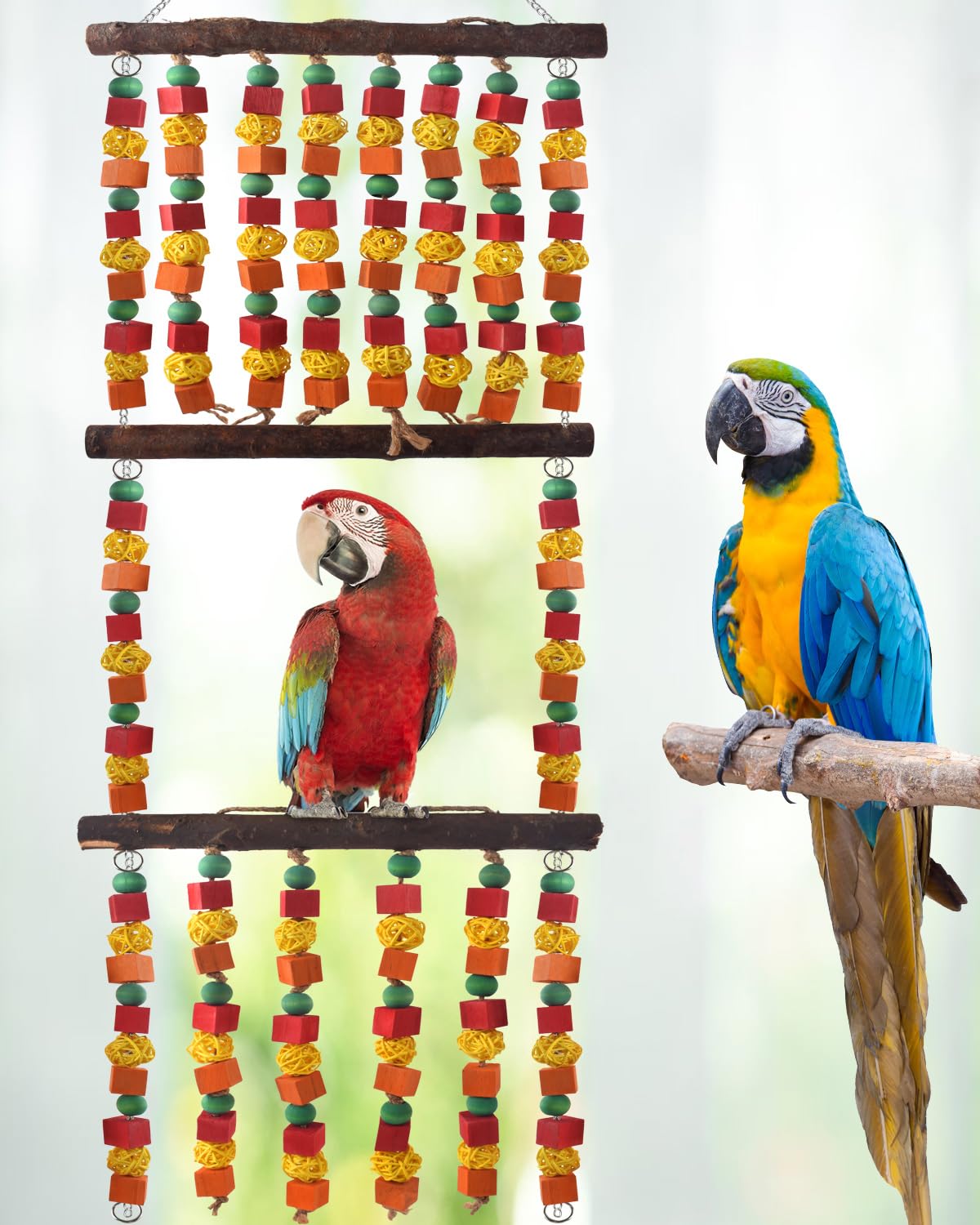 DBNESS parrot toy hanging setup ideal for indoor or outdoor habitats.