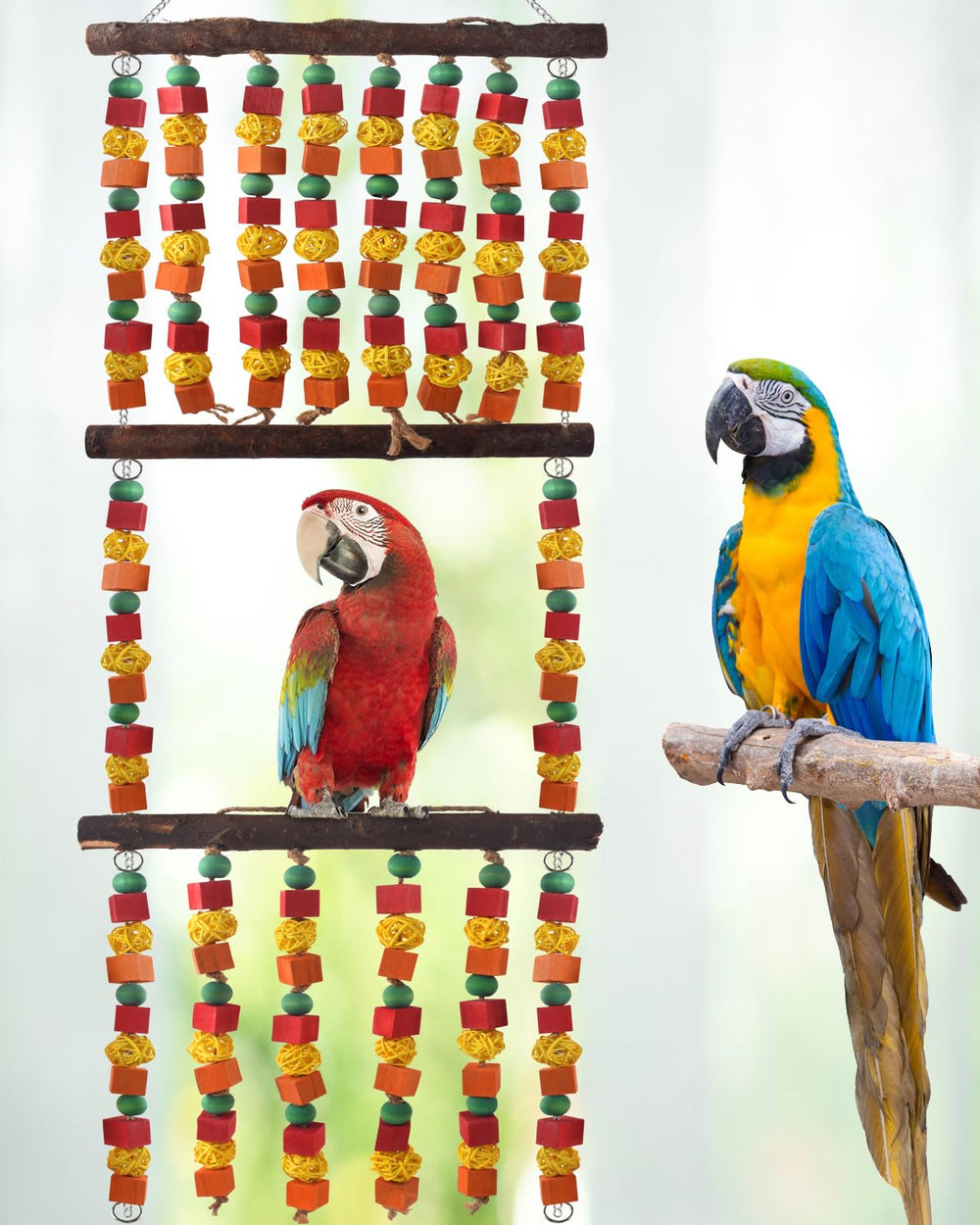 DBNESS parrot toy hanging setup ideal for indoor or outdoor habitats.