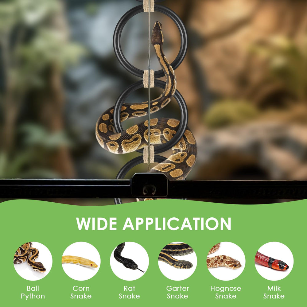 DBNESS snake climbing rings in-use with ball python provides engaging habitat enrichment.