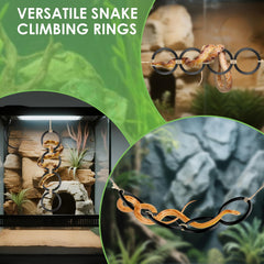 DBNESS snake climbing rings horizontal exploration with bridge layout enhances terrestrial snakes' play.