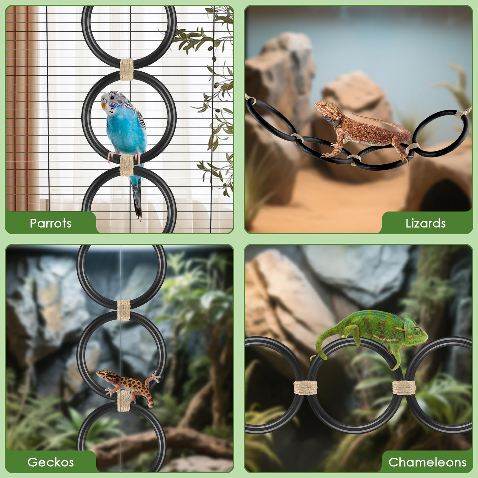 DBNESS snake climbing rings multi-species enrichment suitable for diverse reptiles and parrots.