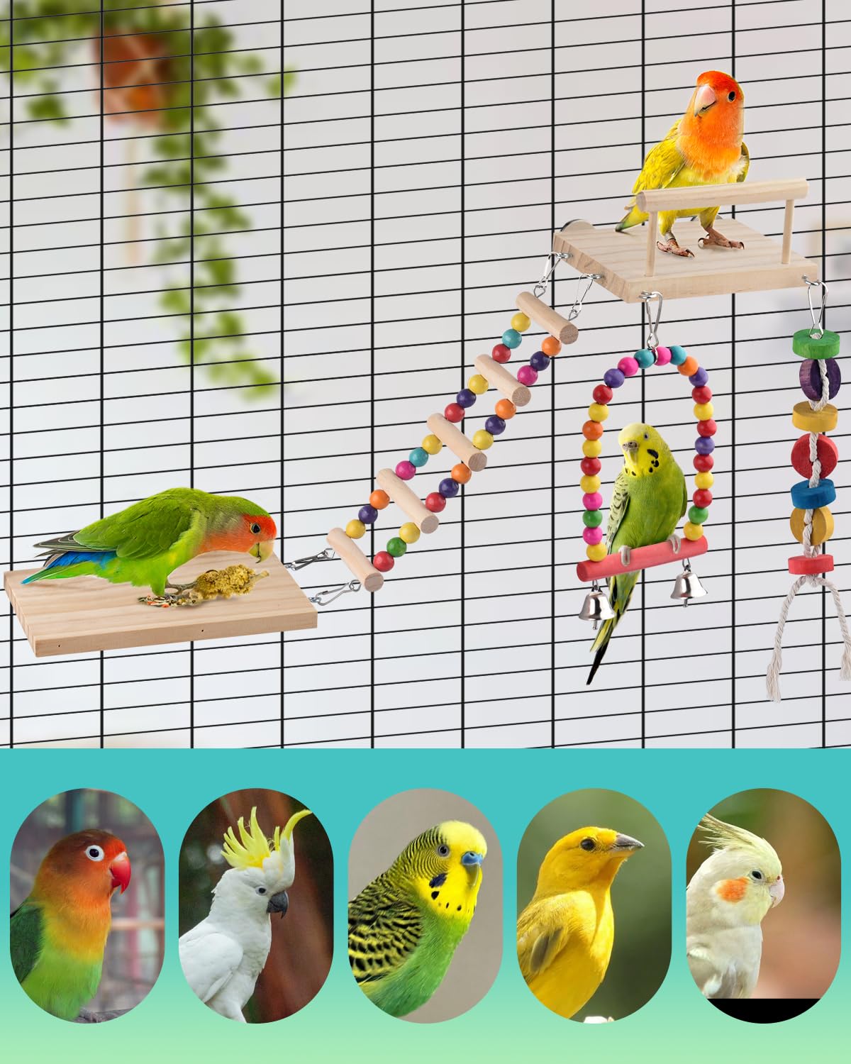 DBNESS wooden swing providing gentle motion for natural avian swinging