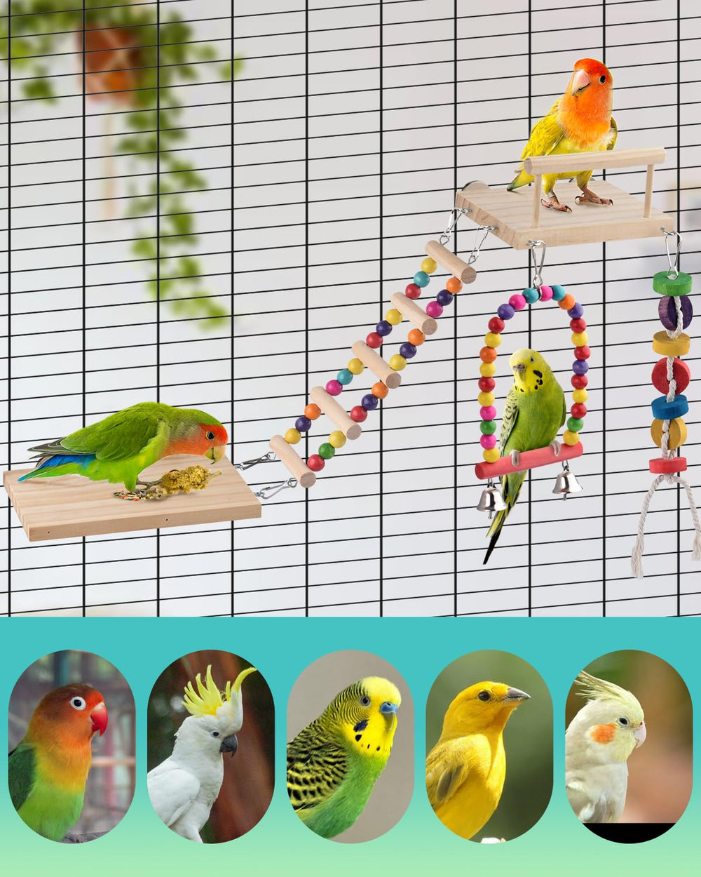 DBNESS wooden swing providing gentle motion for natural avian swinging