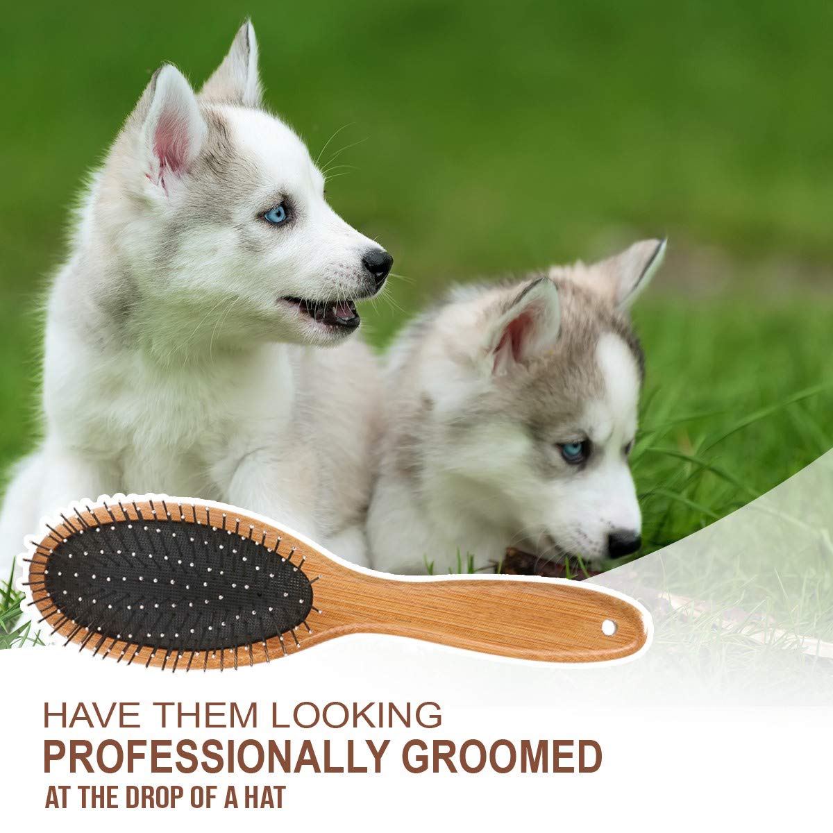 KylePet brush delivers a gentle massage during a soothing grooming session.