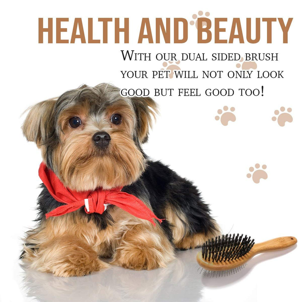 KylePet grooming in action with a happy pet, low-stress routine.