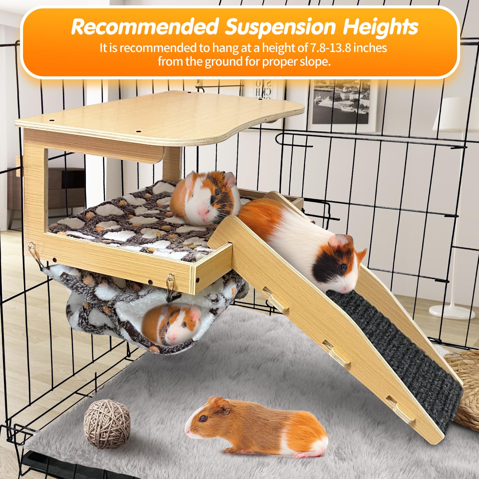 DCIAER guinea pig hideout assembly highlights tool-free setup and sturdy build.