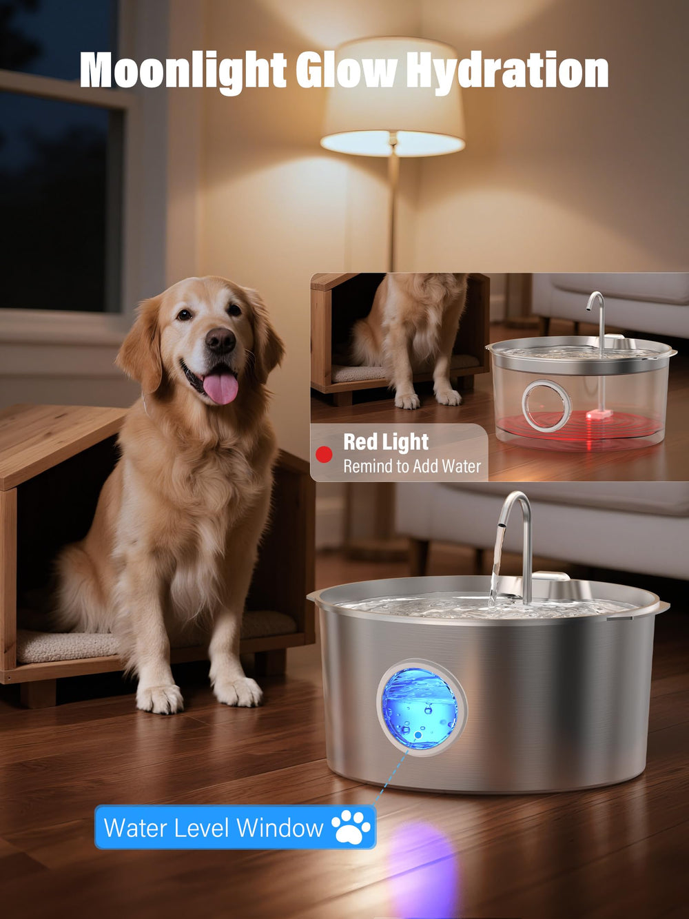DCIOGAT multi-pet hub keeps several dogs hydrated together.