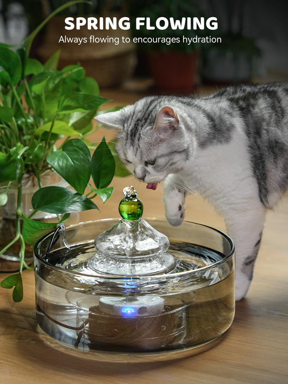DCIOGAT spring-flow design demonstrates smooth, natural water movement for cats.
