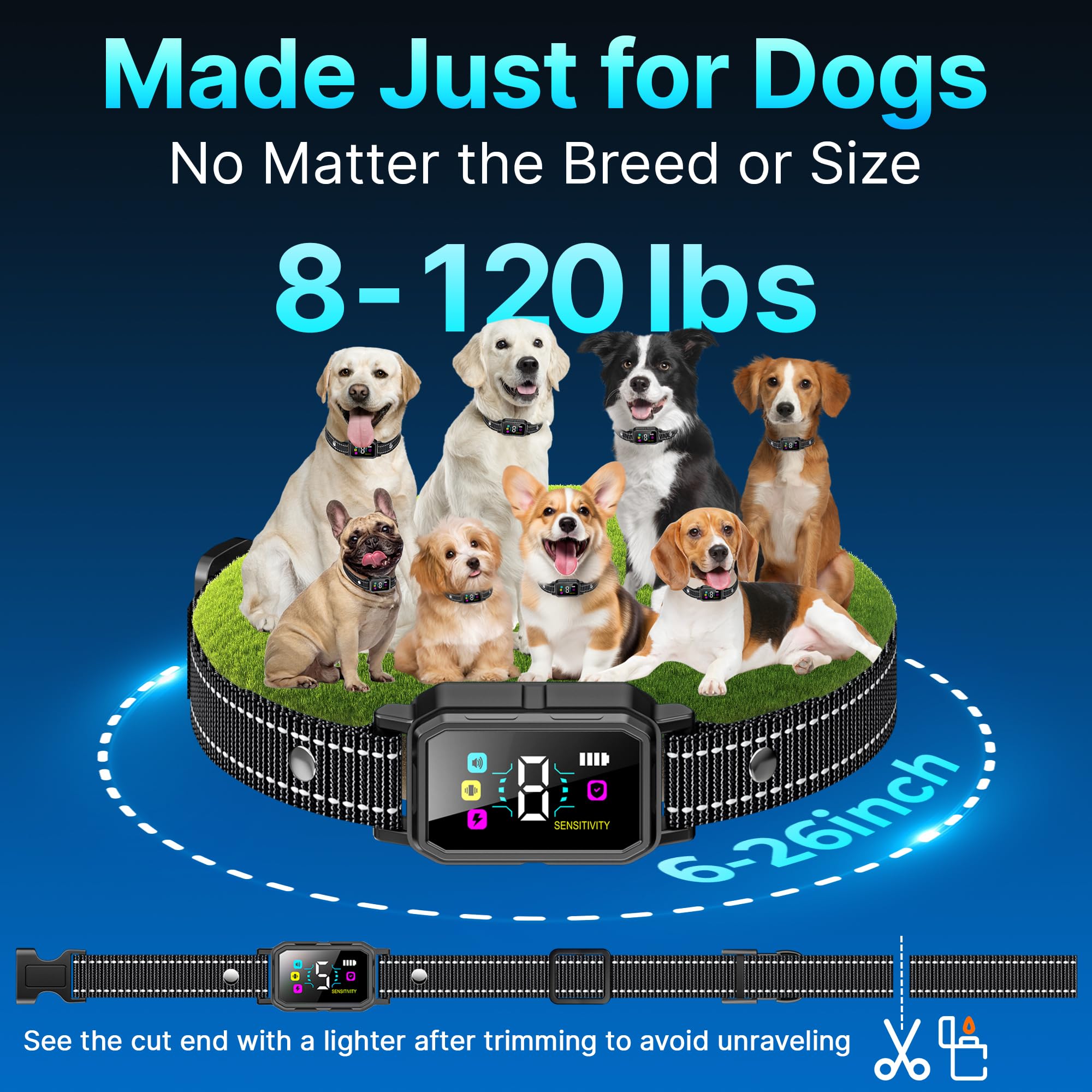 DCVPlan PL30 three-pack box for families with multiple dogs.