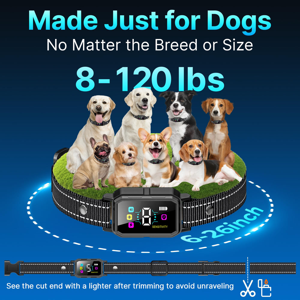 DCVPlan PL30 three-pack box for families with multiple dogs.