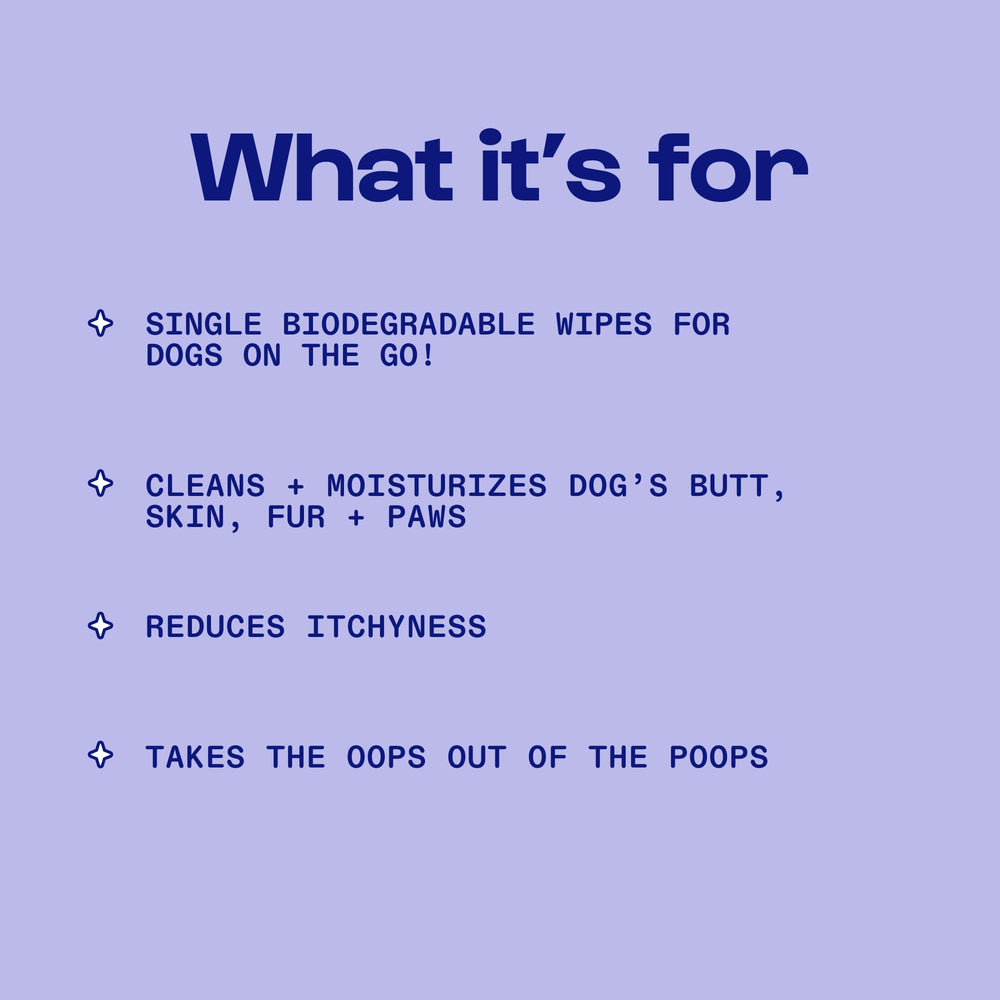 DDBC Jet Set Dog Wipes paw cleaning scene conveys gentle conditioning for fur.