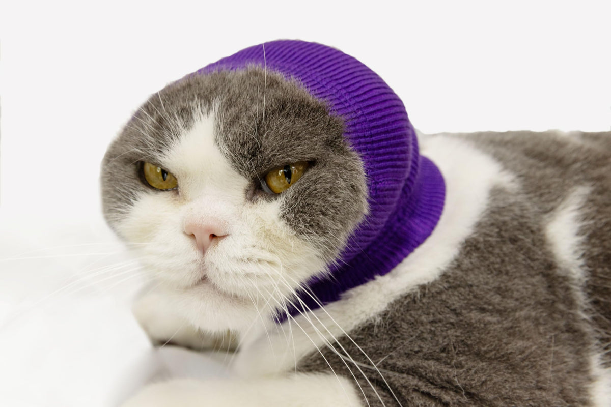 DDFS cat ear wrap noise protection front view highlights lightweight grooming comfort for pets