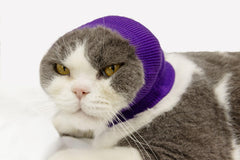 DDFS cat ear wrap noise protection front view highlights lightweight grooming comfort for pets