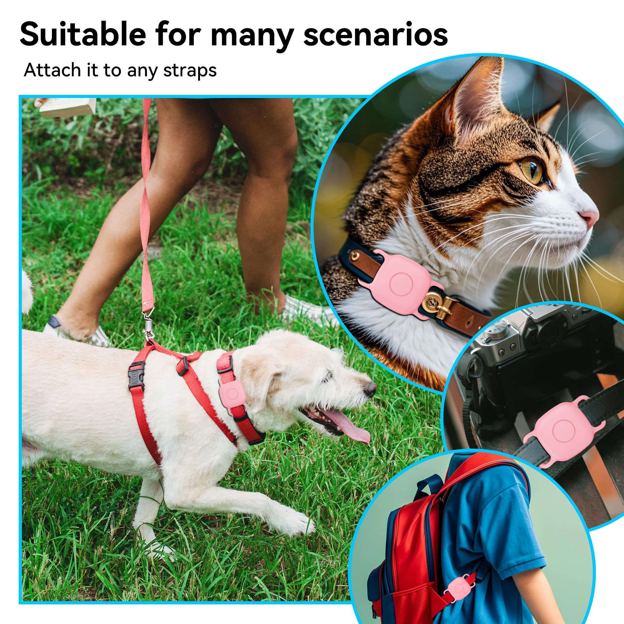 DDJ 2-pack provides ready-to-use protection for different collars