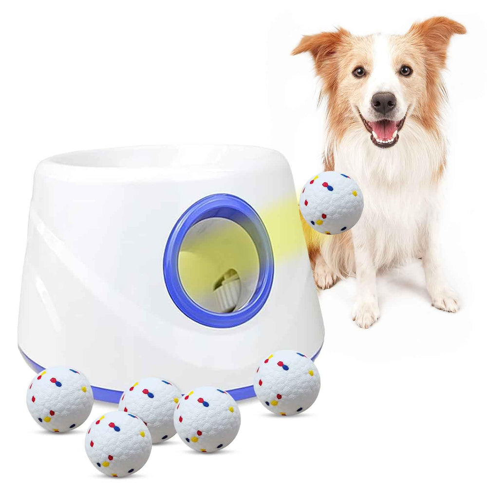 DDQ automatic dog ball launcher front view for compact home use