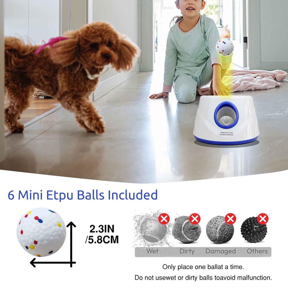 DDQ dog playing indoors and outdoors demonstrates versatile interactive toy