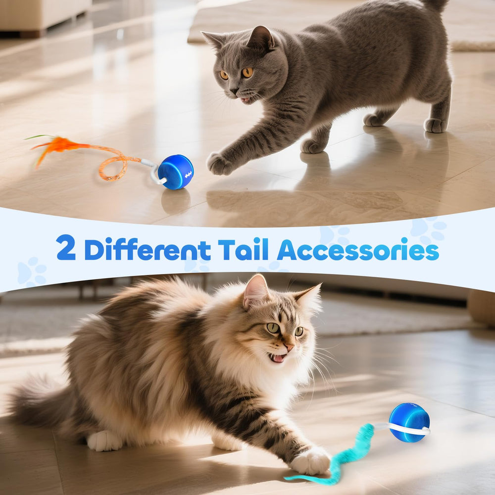 ddxcoo cat toy ball 800mAh battery enables 6–8 hours of play