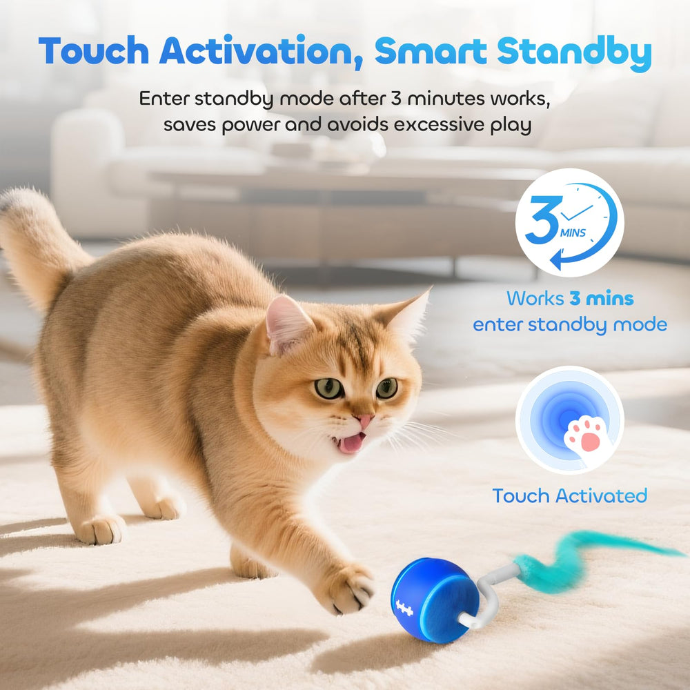 ddxcoo cat toy ball high-speed mode for energetic cats