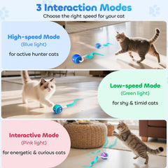 ddxcoo cat toy ball interactive mode activated by touch for engagement