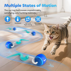 ddxcoo cat toy ball with two interchangeable tails for prey-like play