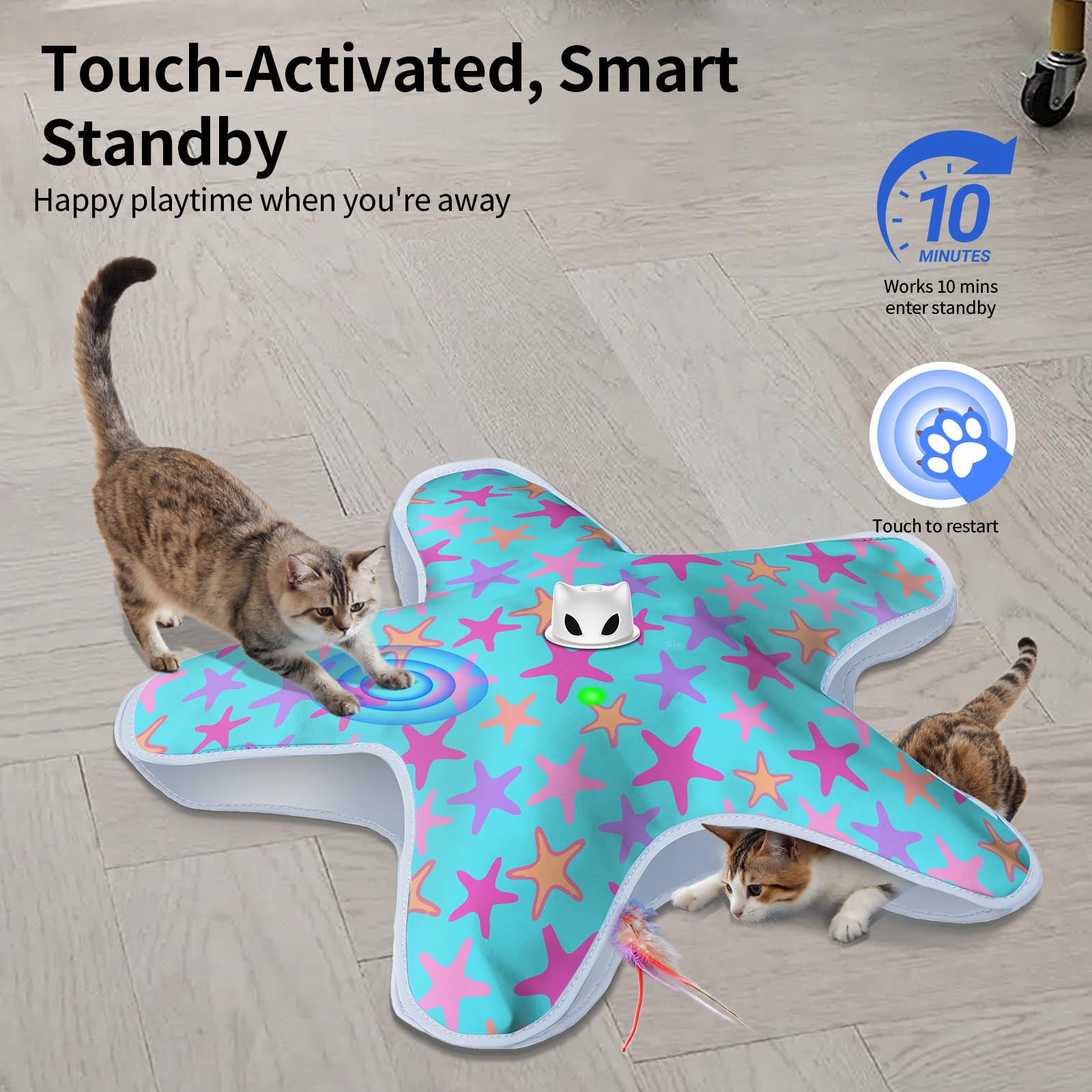ddxcoo toy shows moving concealed feathers in action