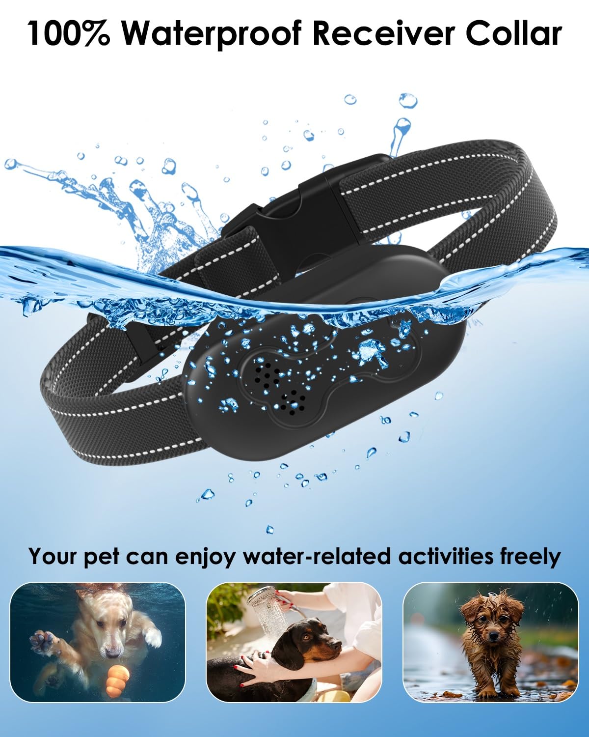 DDZ dog shock collar training cues for humane feedback