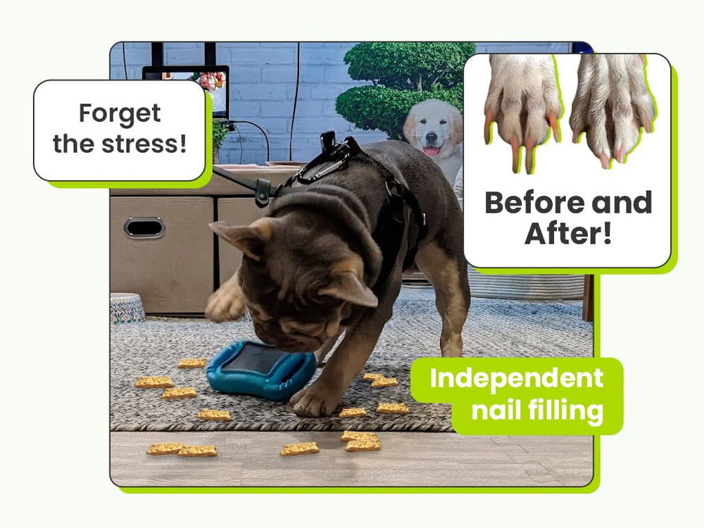 De' Vora Scratch Square dog nail-trimmer with treat inside for rewarding grooming sessions.