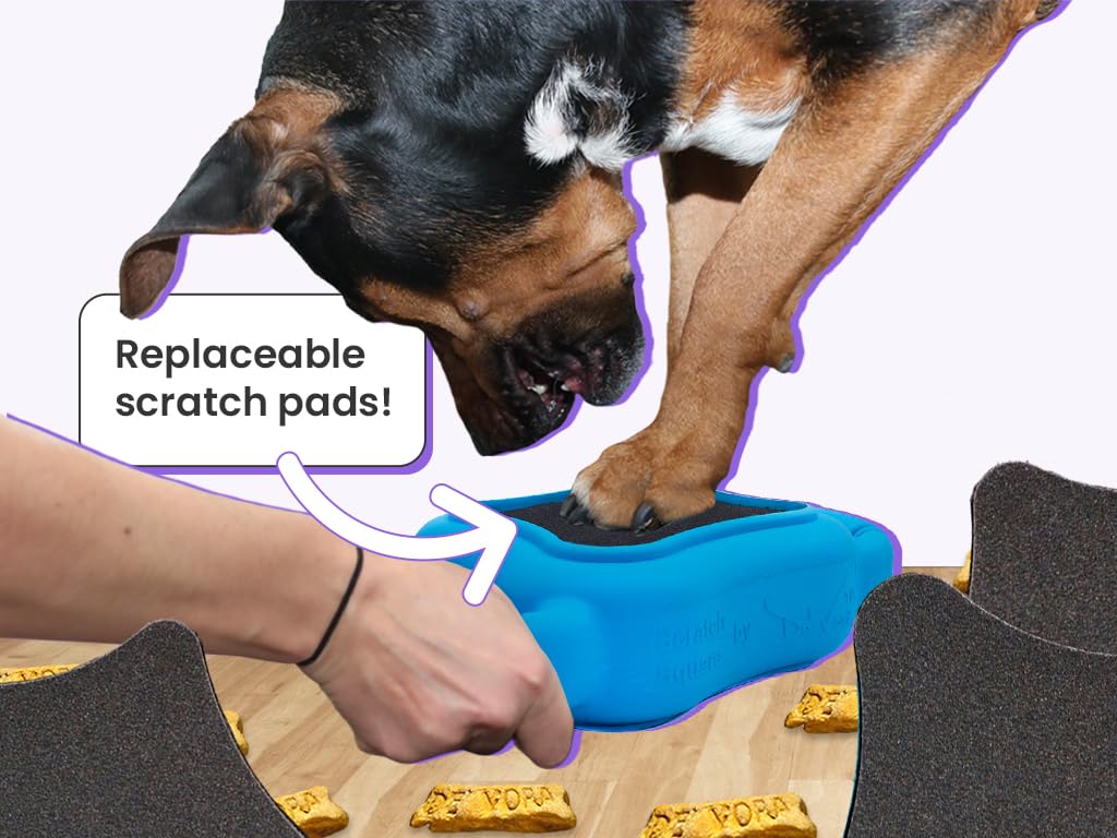 De' Vora Scratch Square chewer-friendly board enduring rough play during nail care.