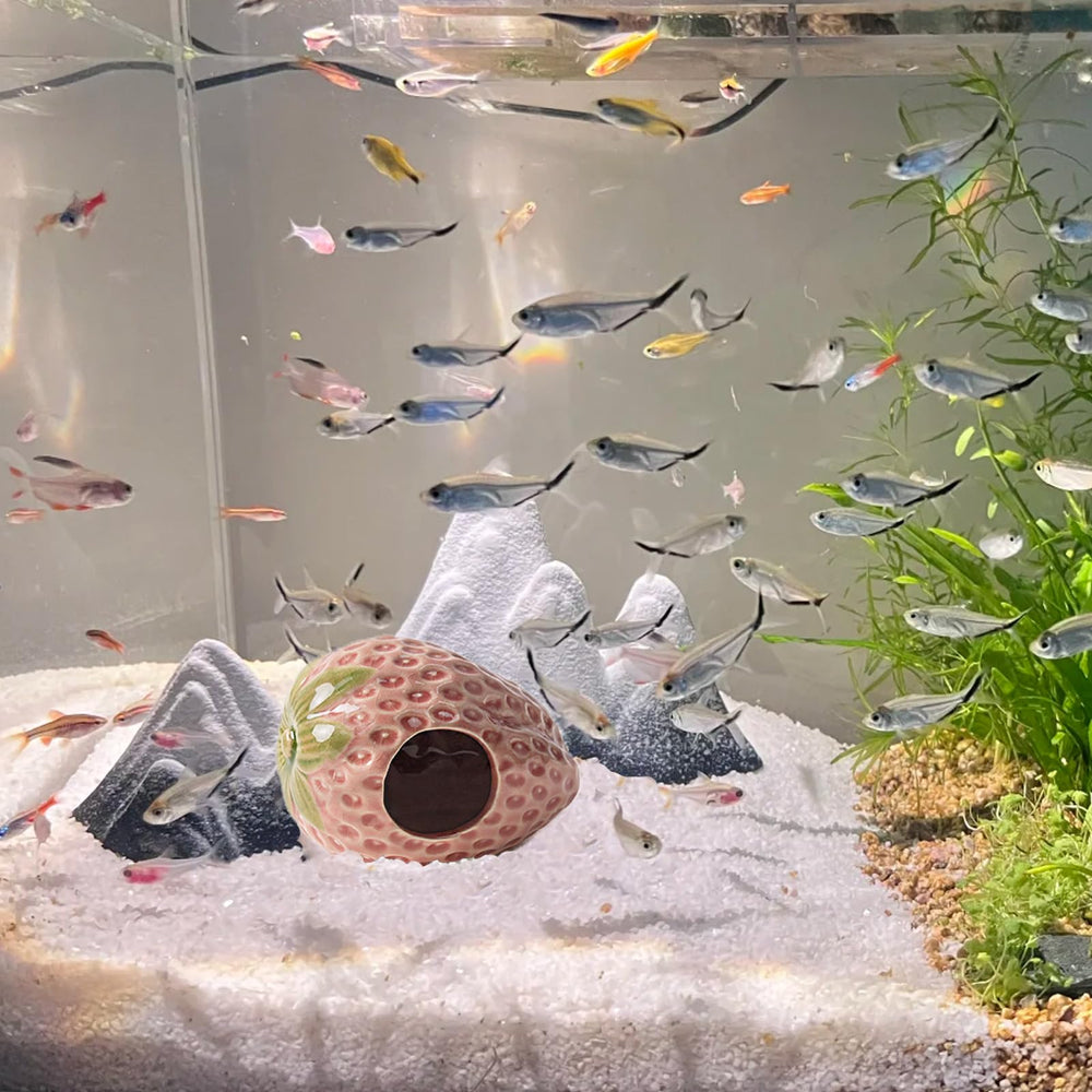 Deapeey strawberry cave pink size-illustration compact dimensions for tanks.