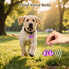 DearKeeps clip-on attachment for collars demonstrates quick, tool-free security during walks.