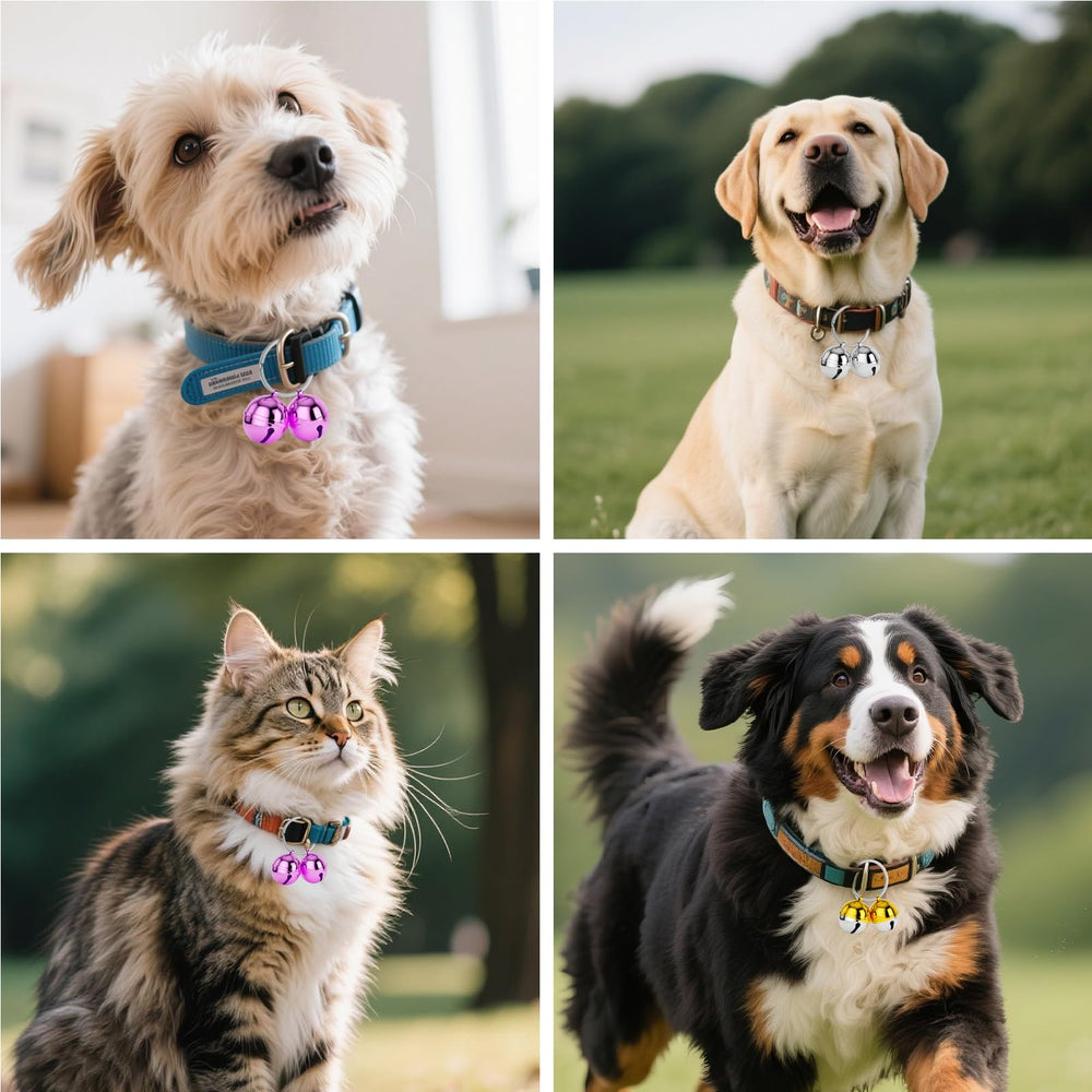 DearKeeps collar bells provide audible cues during outdoor hikes and quiet indoor moments.