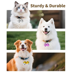 DearKeeps pet bells on dogs and cats illustrate indoor and outdoor use for tracking.