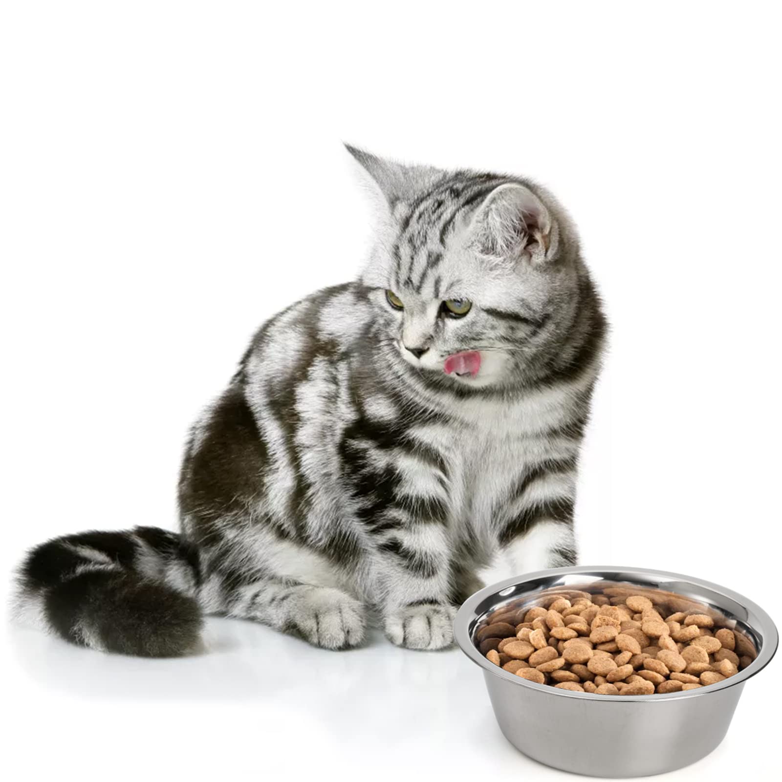 DEAYOU elevated-stand replacement bowls offer convenient swap-in for feeders.