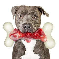 DEBAK dog toy strong-bone for aggressive chewers and lasting play