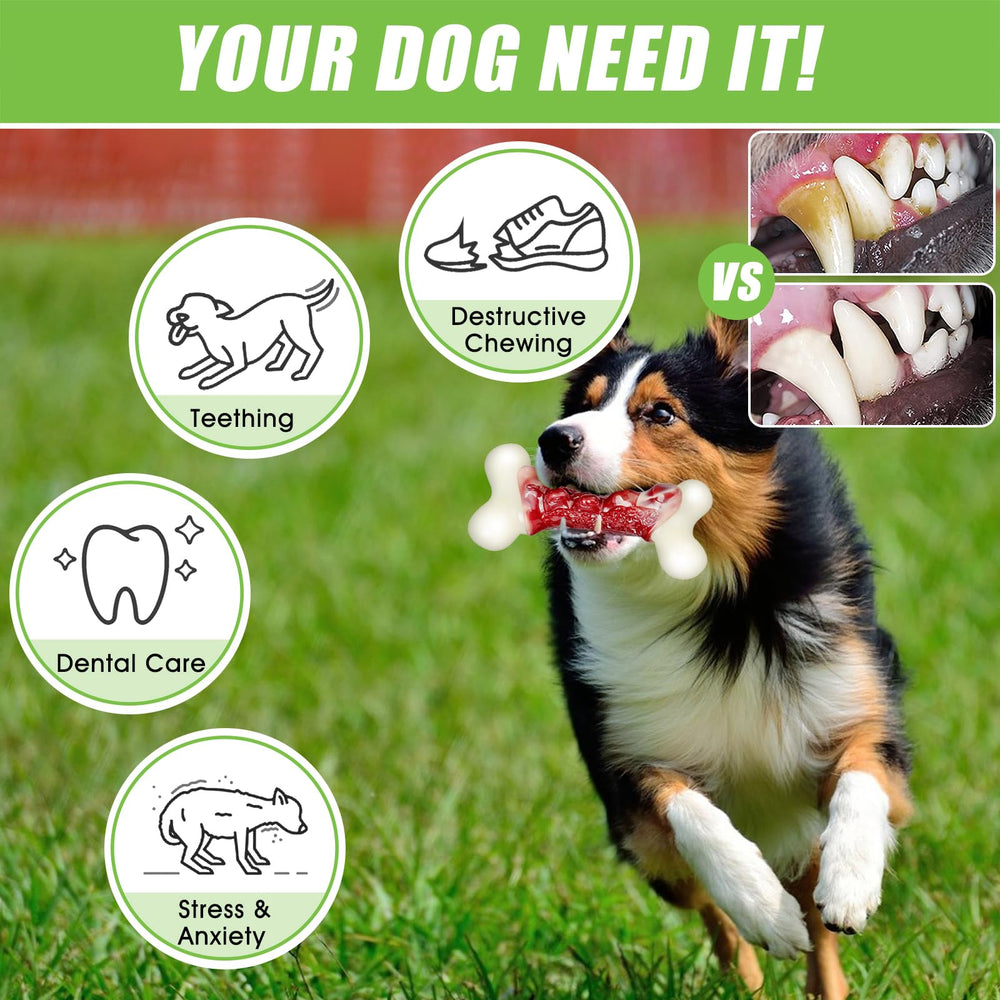 DEBAK dog-toy teeth-cleaning-texture massages gums during chewing