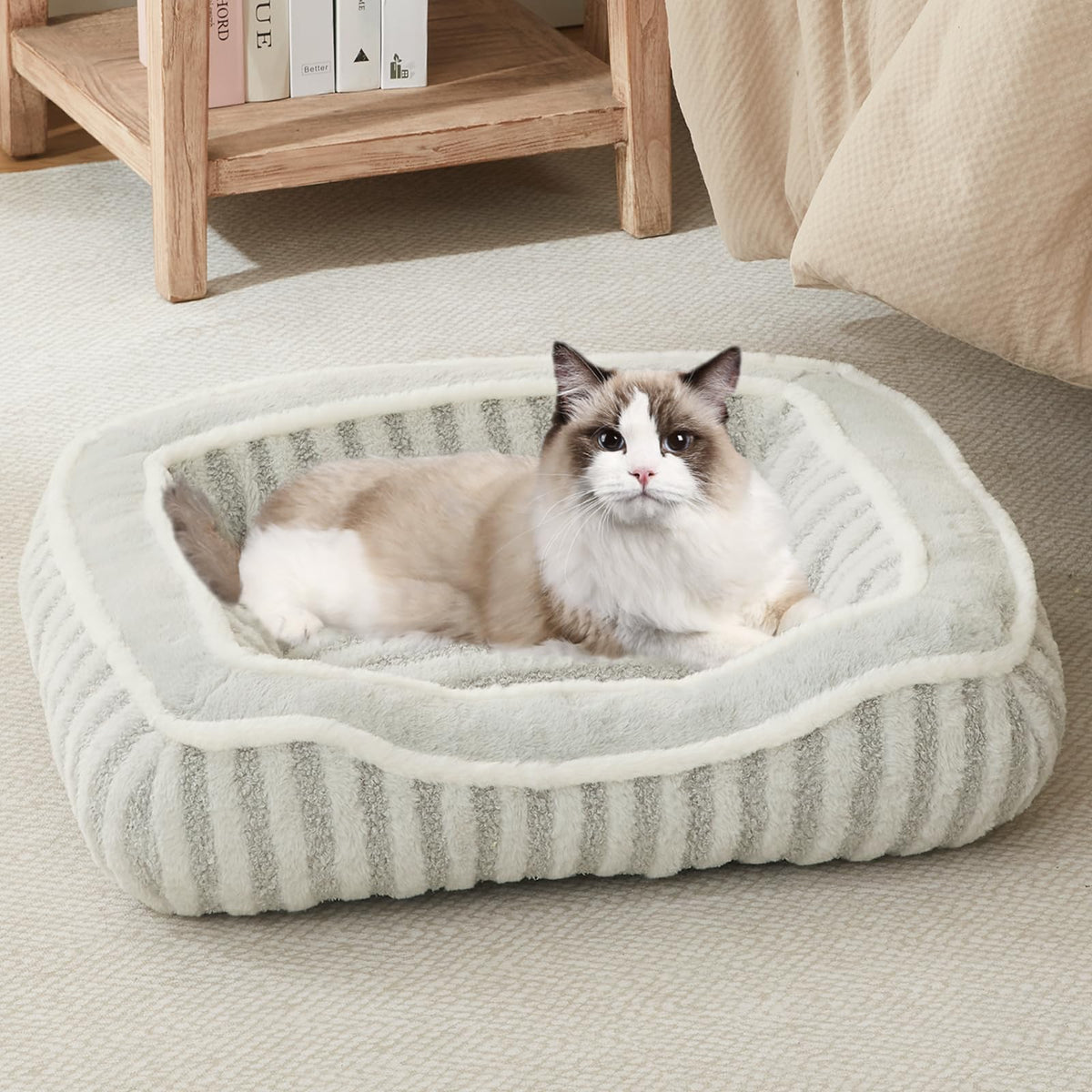DEBANG HOME dog bed plush-surface closeup shows cozy warmth for small dogs
