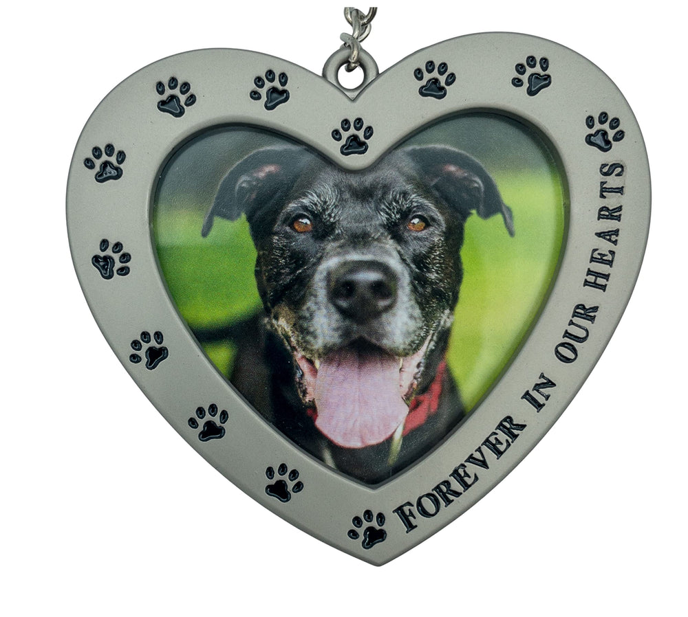 December Pets pet loss sympathy gift frame offers comforting, thoughtful memorial