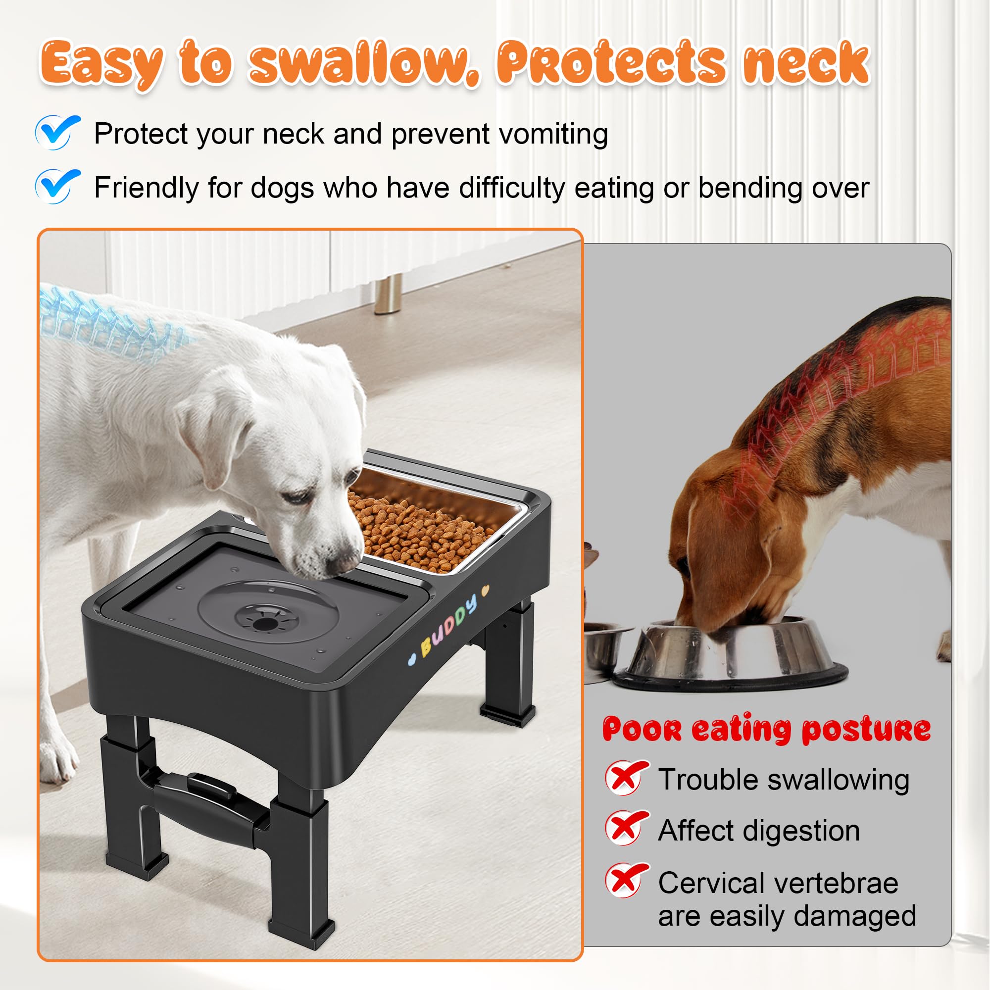 Decflow 4-height-adjustable stand supports dogs as they grow