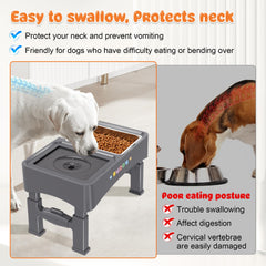 Decflow stainless-steel feeding bowl provides durable, easy-to-clean mealtime option.
