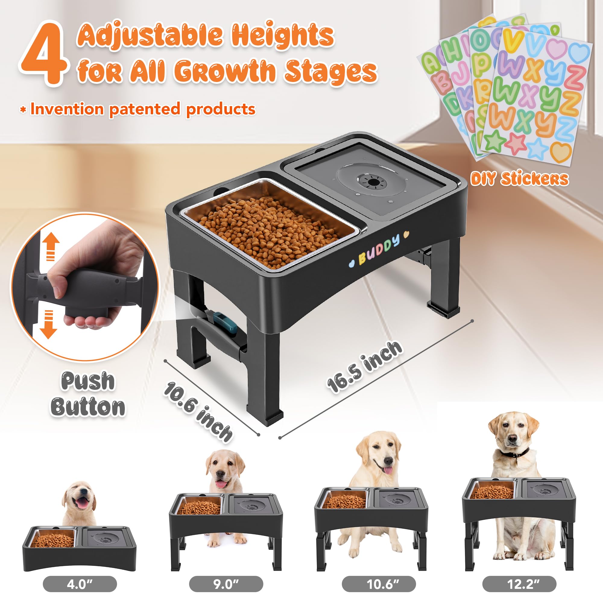 Decflow elevated dog bowl setup demonstrates ergonomic feeding position